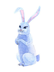 Watercolor cute bunny isolated on a white background