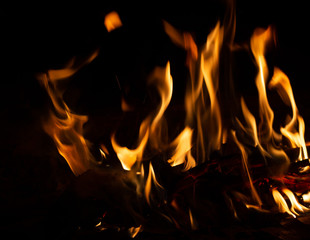 Fire flame caused by burning of wood on a black background