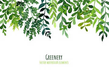 Wall Mural - Greenery drop header, watercolor botanical background, leaves and branches