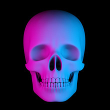 Human Skull In Pink Blue Gradient On Black Background