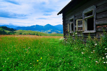 Abandoned Wooden Home In Countryside, Nature, Summer Landscape In Carpathian Mountains, Wildflowers And Meadow, Spruces On Hills