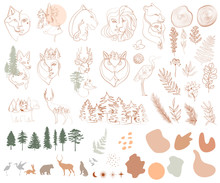 Set Of One Line Style Minimalistic Objects. Forest Animals, Woman Face, Tree, Plants, Leaf And Abstract Shapes.  Editable Vector Illustration.