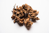 Fototapeta  - Ayurvedic herb chitrak or Plumbago zeylanica roots, isolated over white background