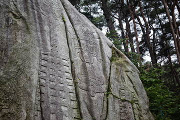 Wall Mural - Tapkkok Rock-carved Buddha in Gyeongju-si, South Korea.