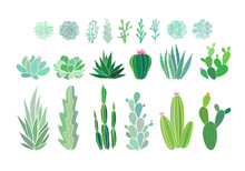 Cactus And Succulent Plants Isolated On White. Vector Illustration With Evergreen Succulent Flowers. Aesthetic Floral Clip Art. Vector EPS 10 Illustration.