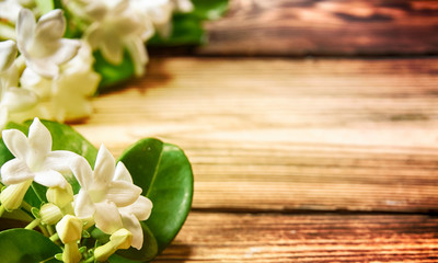 Jasmine on the wooden table