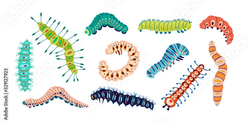 Fotografía Set spring and summer colorful caterpillars