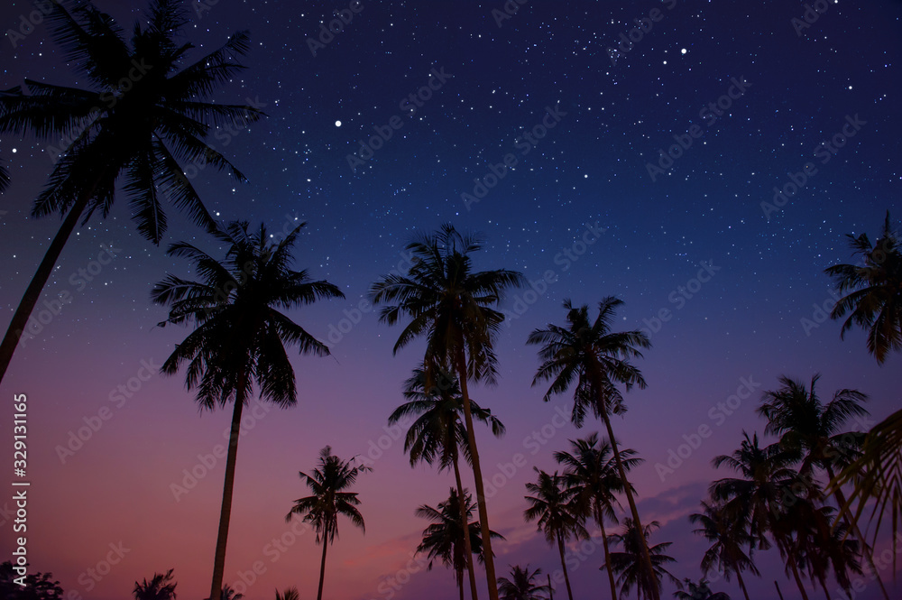 Starry night sky against with coconut palm tree and romantic evening twilight sky - obrazy, fototapety, plakaty 