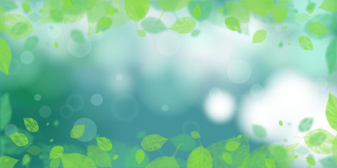 Wall Mural - nature view of green leaf on blurred greenery background in garden using background