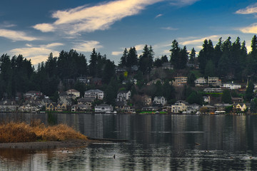 Wall Mural - 2020-03-07 LAKE WASHINGTON SHORE LINE FROM JUANITA BAY PARK IN KIRKLAND WASHINGTON