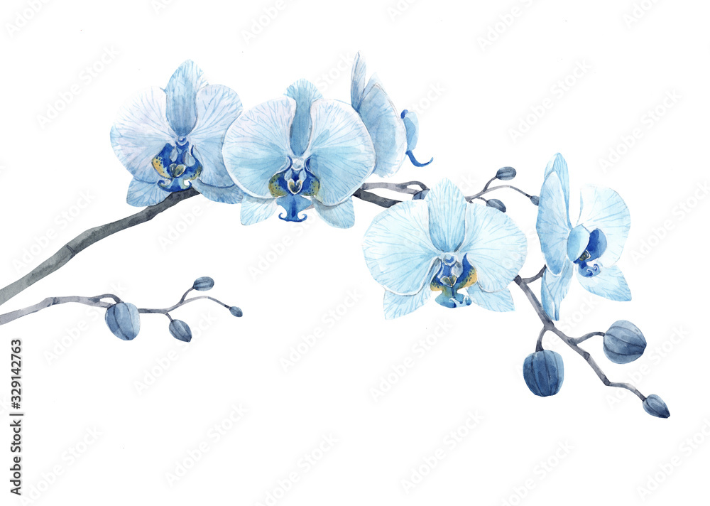 Beautiful floral stock illustration with watercolor blue orchid flower branch. - obrazy, fototapety, plakaty 