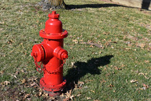 Red Fire Hydrant In The Park