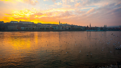 Wall Mural - Danube river and historic buildings at sunset in Budapest, Hungary