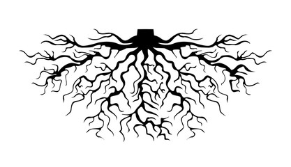 Trees with roots icon. Vector illustration