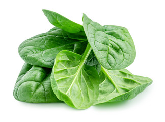 Pile of fresh green baby spinach leaves isolated  on white background. Close up