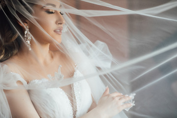 Happy beautiful bride under veil closeup. Beautiful bride shows makeup and hairstyle. Bride in a white dress plays with her veil. 