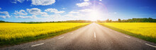 Road Panorama On Sunny Summer Day In Countryside