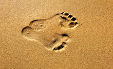 Two Footprints Indented In Golden Sand.