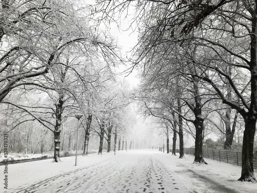 Footpath and trees covered with snow in the city park. - obrazy, fototapety, plakaty 