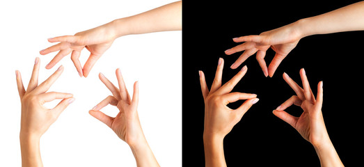 Wall Mural - Set of woman hands showing mudra gesture or holding something.