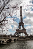 Fototapeta Boho - Eiffel tower in winter