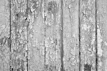 Wall Mural - Vintage wooden background. Blank for designers. texture.