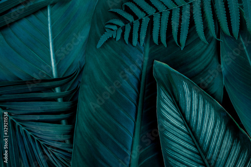 monstera-zielone-liscie-lub-monstera-deliciosa-w-ciemnych-odcieniach-tle-lub-zielone-lisciaste-tropikalne-lasy-sosnowe-do-kreatywnych-elementow-tekstury-monodera-philodendron