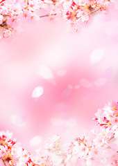 Naklejka na meble 優しい桜イラスト