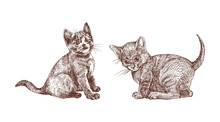 Hand Drawn Set Of British Shorthair Kittens. Engraving Illustration In Vintage Style.