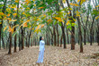 © huythoai - Silhouette of a girl in long dress or ao dai in rubber forest autumn morning expresses the innocent romance of dreaming youth in suburbs Binh Phuoc, Vietnam