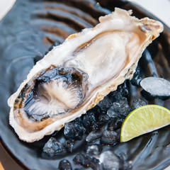 Fresh raw oyster shell on ice