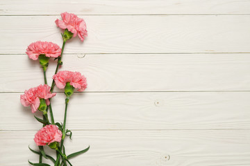 Pink carnation flower bouquet on white wood.