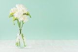Fresh delicate white flowers freesia in glass vase  in green mint menthe interior on white wood board, copy space.