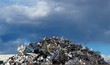 © luca piccini basile - Large stack of aluminum and ferrous materials scrap shines under the sun in a recycling center. Cloudy sky on background