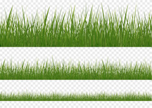 Realistic Green Grass