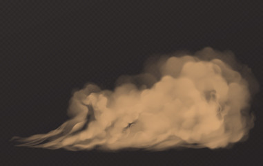 Wall Mural - dust cloud, dirty brown smoke, heavy thick smog with motes sand and soil particles isolated on trans