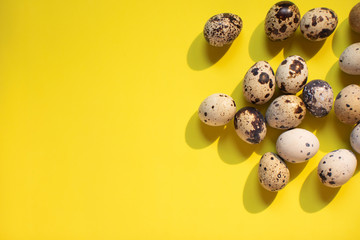 Wall Mural - Quail eggs on a bright yellow background