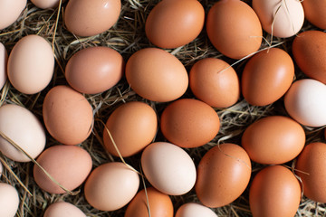 Wall Mural -  Chicken eggs lie in a nest on the hay. Easter background