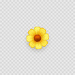 Emoji Yellow flower icon. Spring, summer. Vector