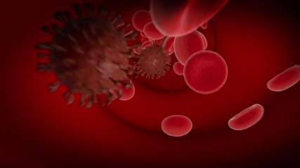 Wall Mural - virus infected blood stream, 3d animated illustration