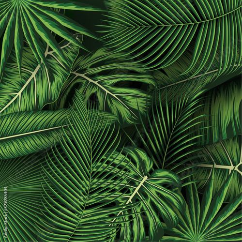 Obraz liście  tropikalne-lato-pozostawia-tlo-z-roslinami-dzungli