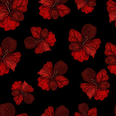 Seamless pattern on a black background from blooming gladiolus . Abstract floral print