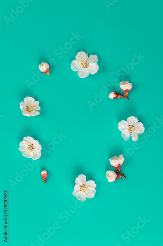 Fresh spring apricot flowers on green paper background.