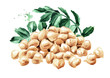 Pile of Chickpeas with leaves and peas. Hand drawn watercolor illustration  isolated on white background