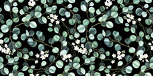 Seamless Pattern With Eucalyptus Leaves And Little White Flowers On Black Background. Watercolor Illustration.