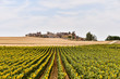 spanish landscape view of european countryside rural area in castilla y leon burgos spain.