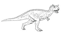Drawing Of Dinosaur - Hand Sketch Of Carnotaurus, Black And White Illustration