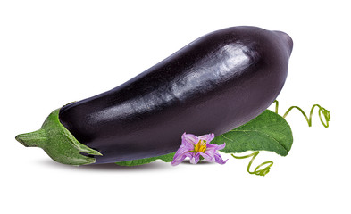 Wall Mural - eggplants isolated on white background