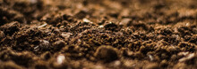 Earth Ground Texture As Background, Nature And Environment