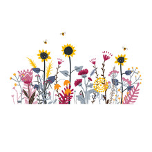 Wild And Honey Meadow Flowers Scene. Vector Nature Background With Hand Drawn Wild Herbs, Flowers And Leaves On White.